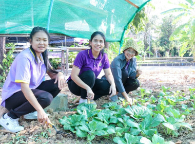 กิจกรรม บิ๊กคลีนนิ่งเดย์ &quot;Big Cleaning Day&quot; พารามิเตอร์รูปภาพ 10